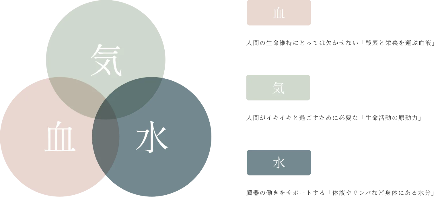 気血水イメージ