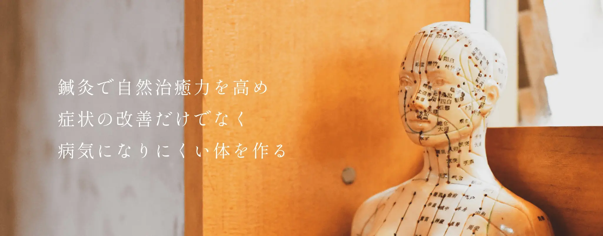 鍼灸で自然治癒力を高め症状の改善だけでなく病気になりにくい体を作る